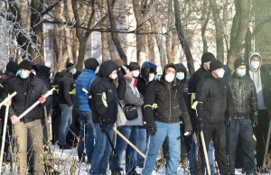 Дегтярев хочет поспрашивать регионалов о «титушках»