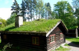 Идея на новый сезон – газон на крыше