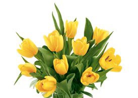 Как продлить жизнь цветам в вазе