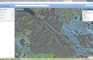 У Петриківському районі роздербанили ліс