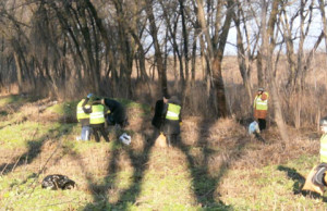 В Баглейском районе провели субботник уборка