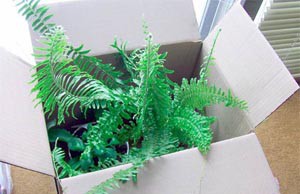 Перевозка растений в зимний период