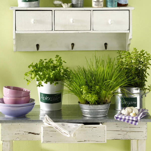 цветы на кухне