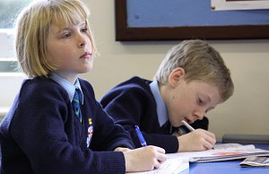 Учебные заведения возобновили работу