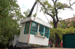 Власти ищут механизм борьбы с МАФами