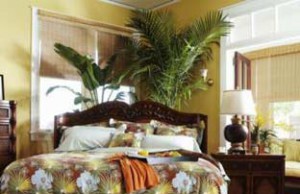 Лучшие растения для спальни
