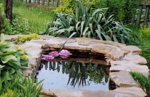 Пруд своими руками