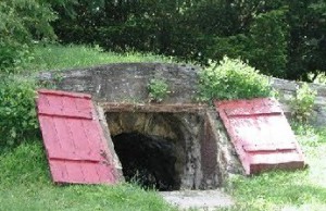 Влажность – главная беда хранящихся плодов