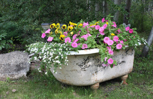 Декорируем в саду изъяны участка