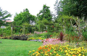 Обновляем сад с приходом весны