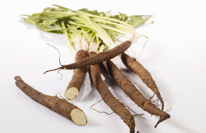 Скорцонер – редкое, но полезнейшее растение