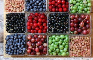 Растения, наиболее богатые витаминами