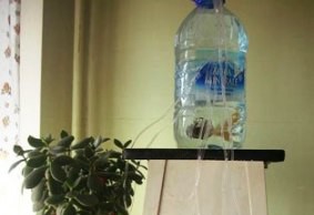 Вода для полива комнатных растений