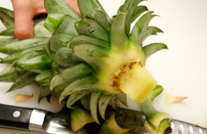 Выращиваем ананас из купленного в магазине плода