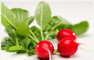 Редиска – привычная, но уникальная культура