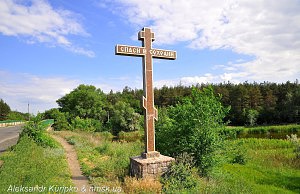 Піщанка створює власну самооборону