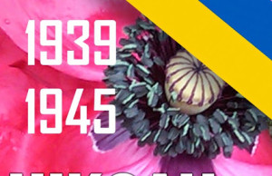 План мероприятий на 9 мая