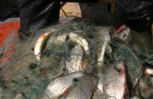 Где запрещена рыбная ловля