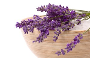 Самые лекарственные растения