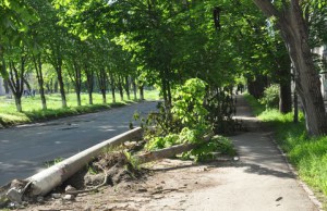 Горожан не устраивает работа коммунальщиков