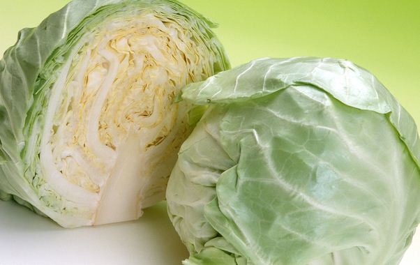 капуста 2