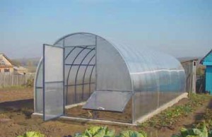 Теплица из поликарбоната: преимущества