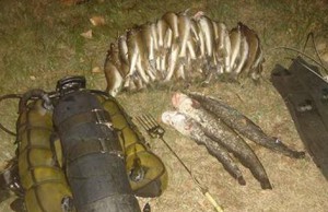 Начался нерест рыбы