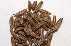 Тмин – еще одно полезное растение на участке