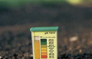 Кислотность почвы и влияние на урожай