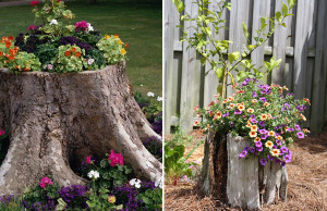 Пенек в саду – что с ним делать?