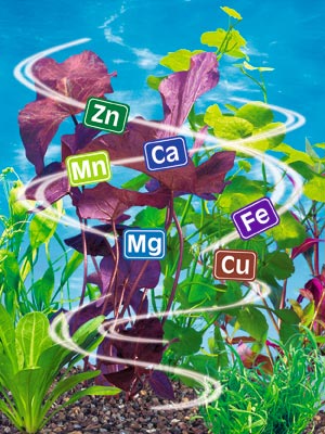 удобрение 2