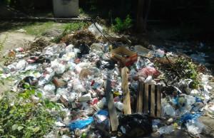 Мусорный коллапс наступит в ближайшие дни?