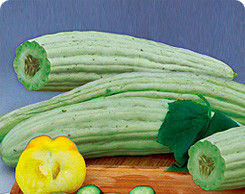 Армянский огурец – необычный овощ из Средней Азии