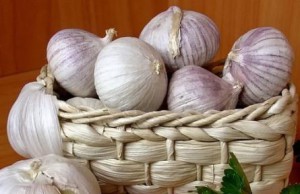 Как хранить урожай чеснока