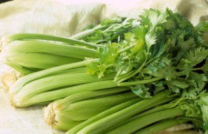 Черешковый сельдерей – кладезь витаминов