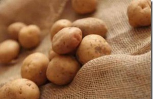 Картошка – как получить ранний урожай?