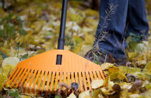 Осень – пора для уборки садового участка