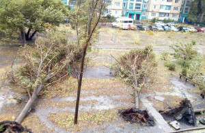 Жители своими силами устраняют последствия стихии