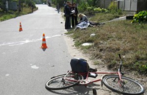 Информация о виновнике ДТП подтвердилась