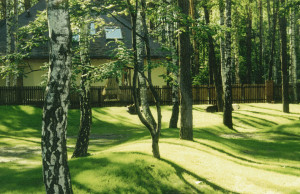 Как изменить ландшафт участка?