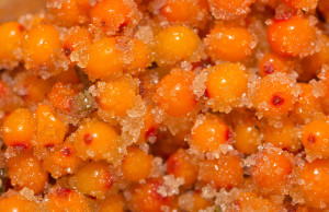 Как сохранить урожай ягод и фруктов?