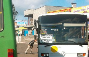 «Интерспецмаркет» поставили на место?