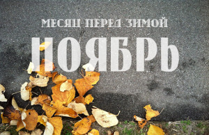 Ноябрь в саду – встречаем последний месяц осени