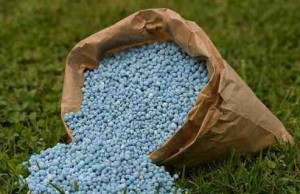 Удобрение сада под зиму