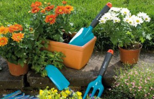 Обновляем садовый инвентарь