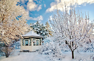Что нужно успеть сделать садоводу за зиму?