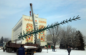 У мэрии начали устанавливать новогоднюю елку