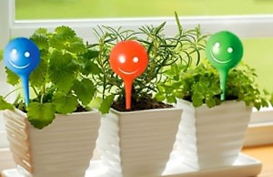 Полив растений во время вашего отсутствия