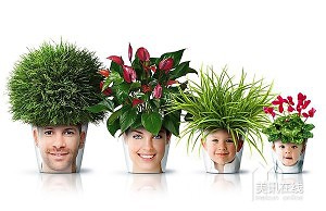 Украсьте дом цветами в красивых горшках