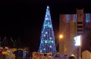 Открытие главной елки города запланировано на 25 декабря